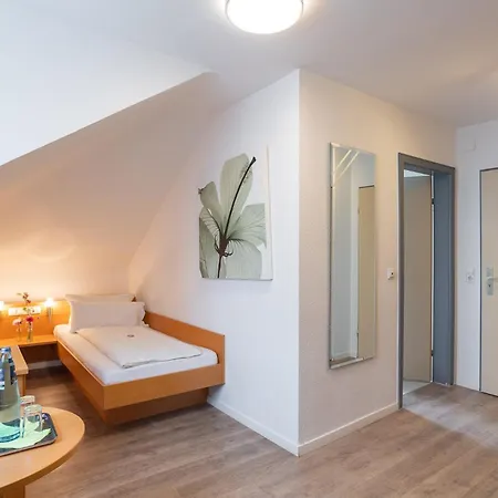 Alleehaus Hotel Friburgo in Brisgovia