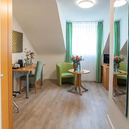 Alleehaus Hotel Friburgo in Brisgovia