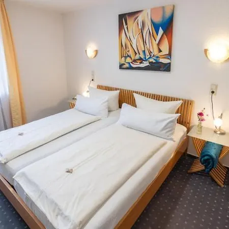 Alleehaus מלון 3*