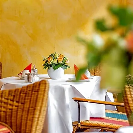 Alleehaus 3* Freiburg im Breisgau