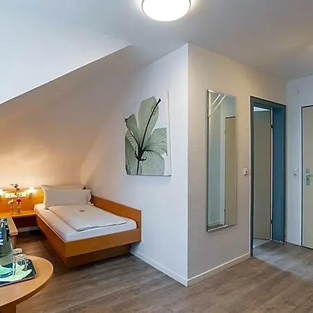 Alleehaus Freiburg im Breisgau