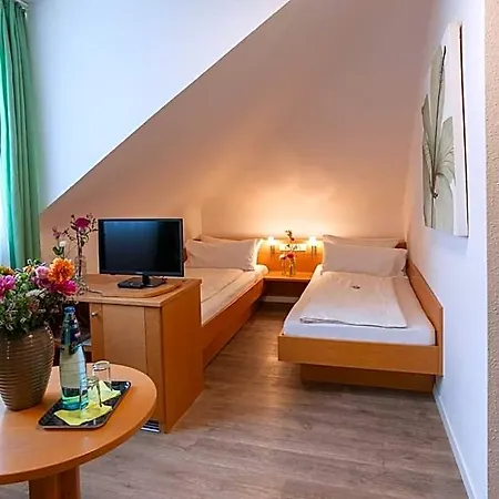 Alleehaus Hotel Freiburg im Breisgau