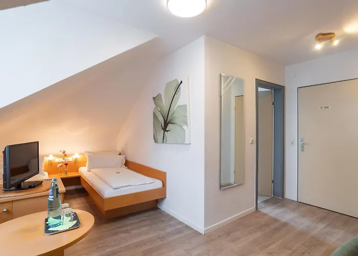 Alleehaus Hotel Friburgo de Brisgovia