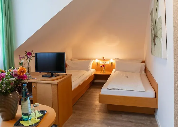 Alleehaus Friburgo de Brisgovia