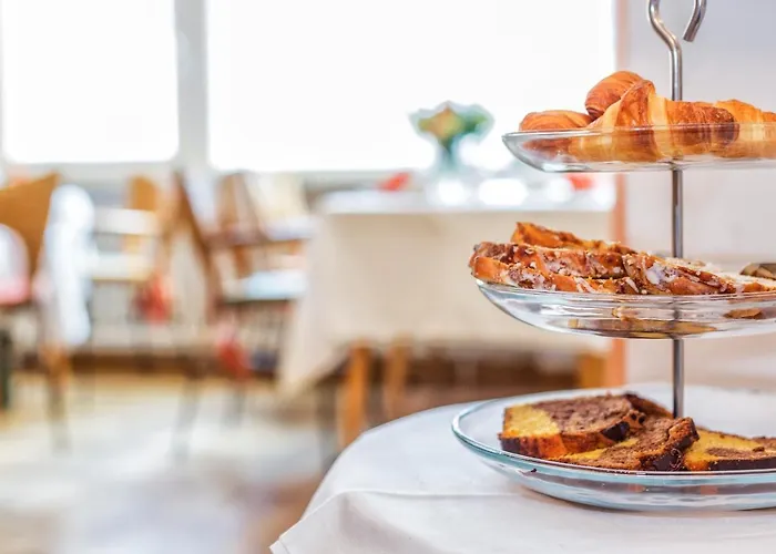 Alleehaus Friburgo de Brisgovia